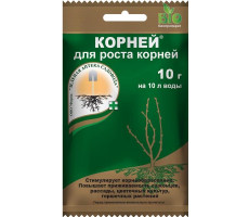 Корней  10 г. ЗА/200