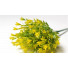 Букет зелени с цветами лилии 31 см цвета ассорти